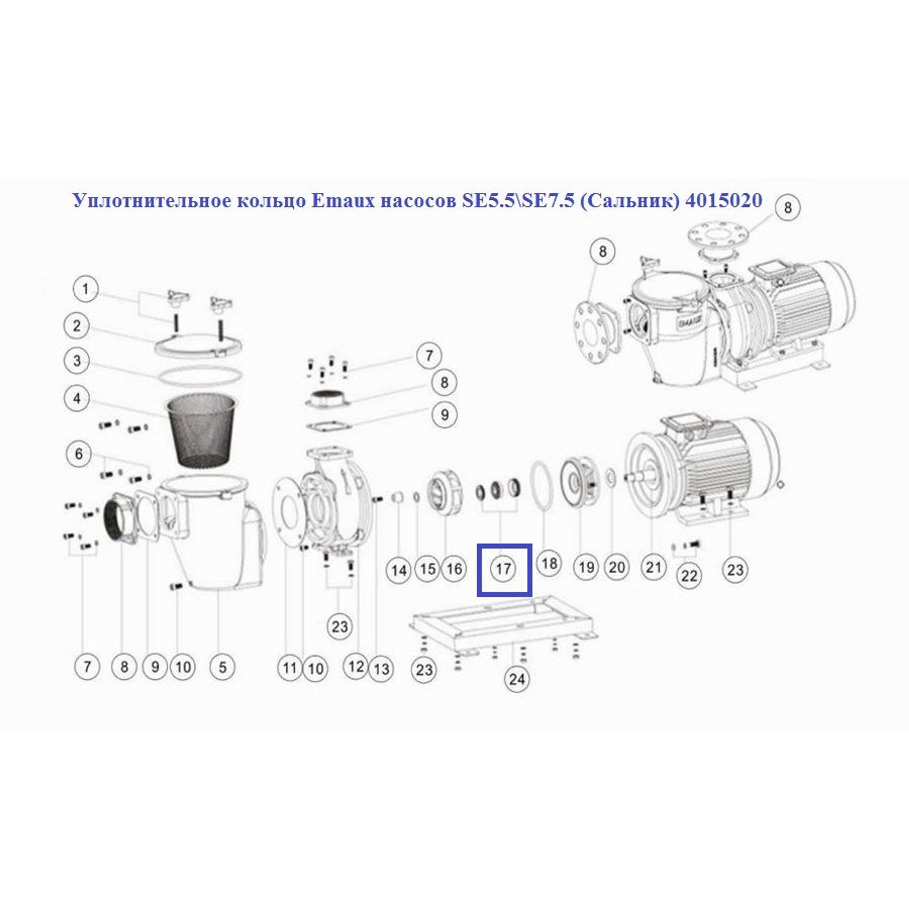 Уплотнительное кольцо Aquaviva насосов SE5.5\SE7.5 (Сальник) 4015020, Артикул: 12520, Для насосов